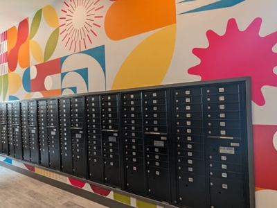 Vinyl Wall Graphics Photo
